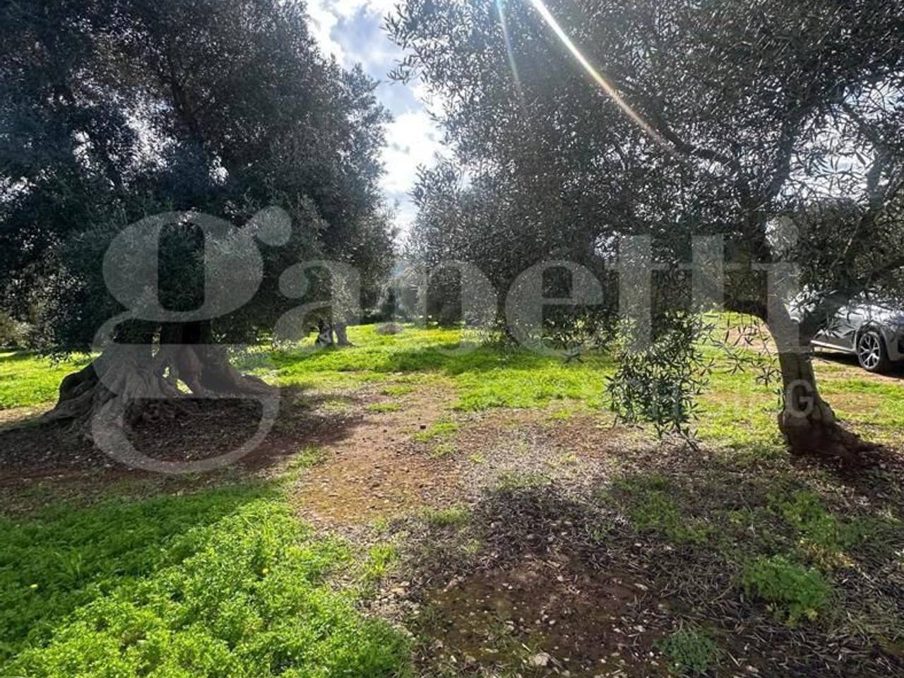 immagine annuncio 2 di 7