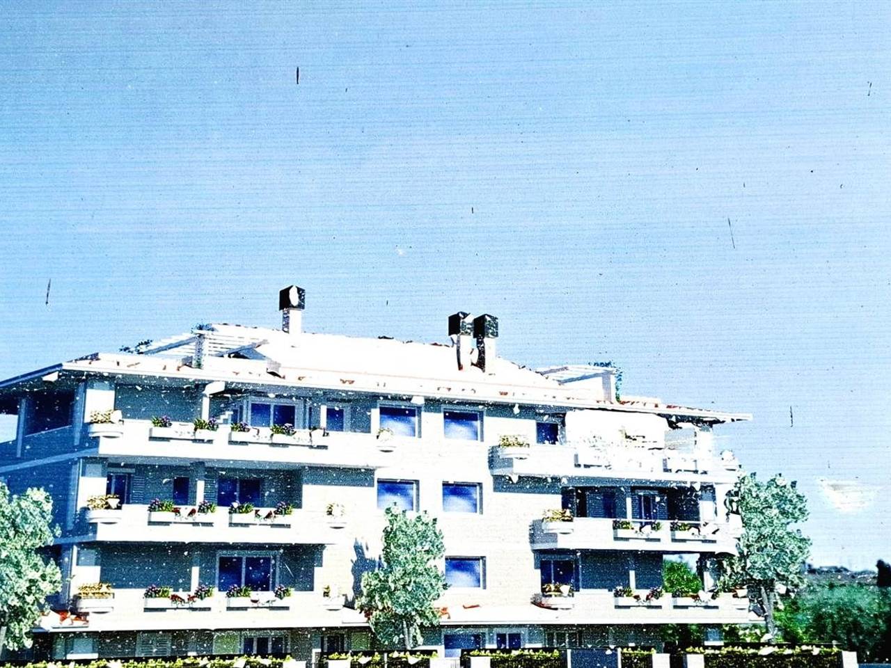 immagine annuncio 6 di 15