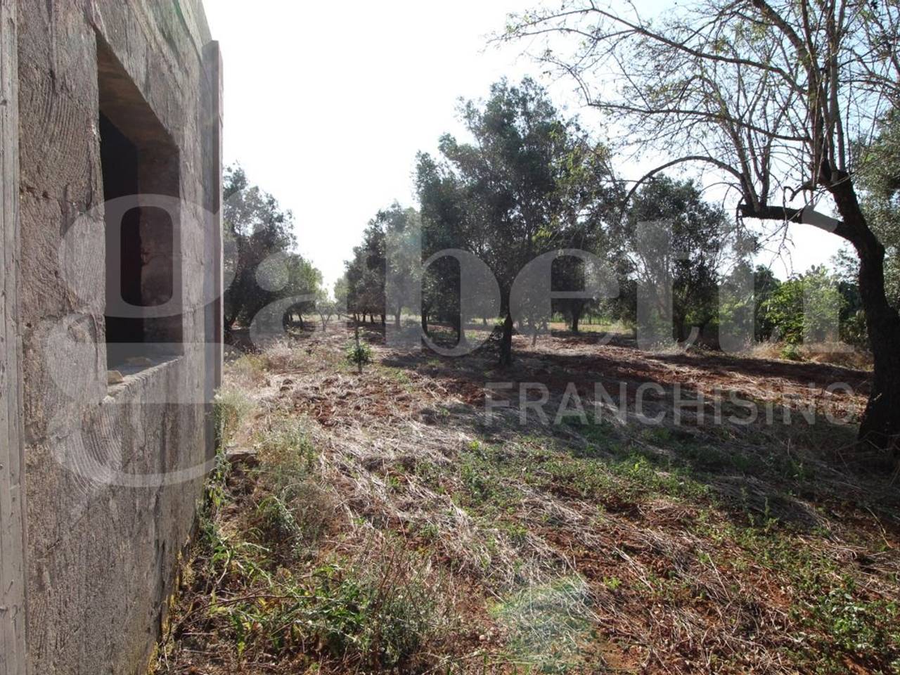 immagine annuncio 1 di 8