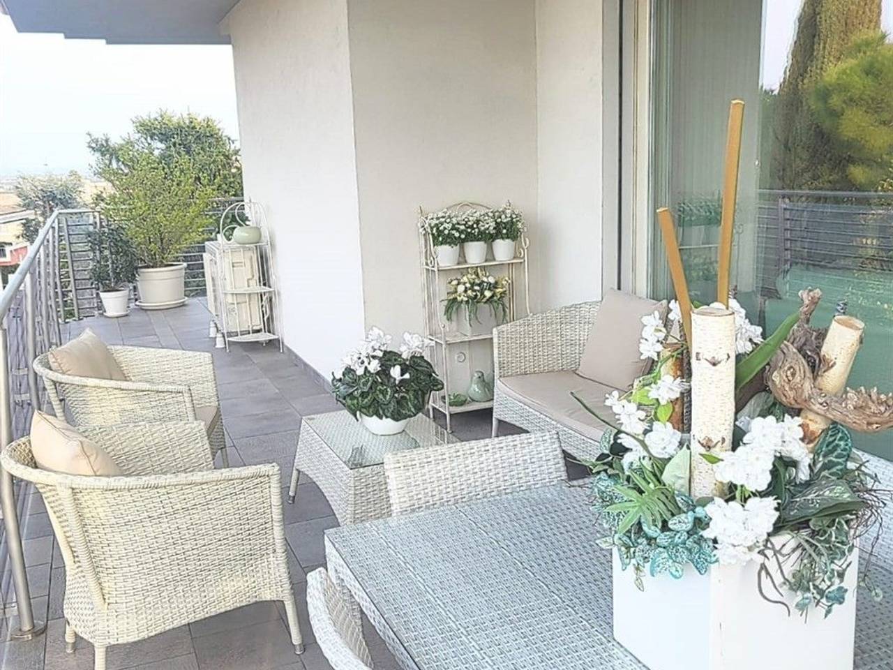 immagine annuncio 12 di 15