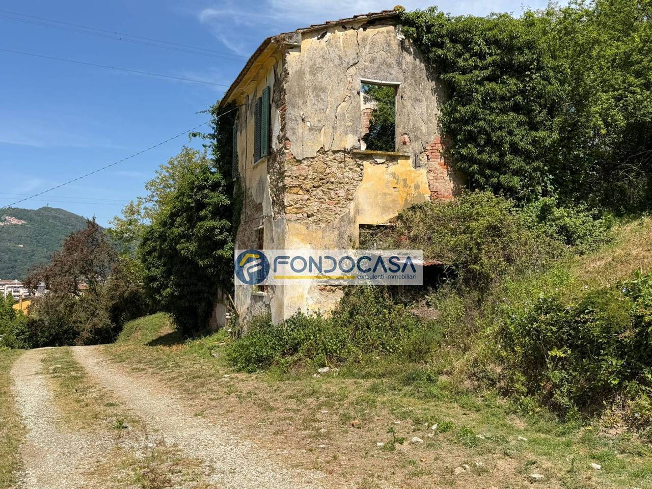 immagine annuncio 6 di 12