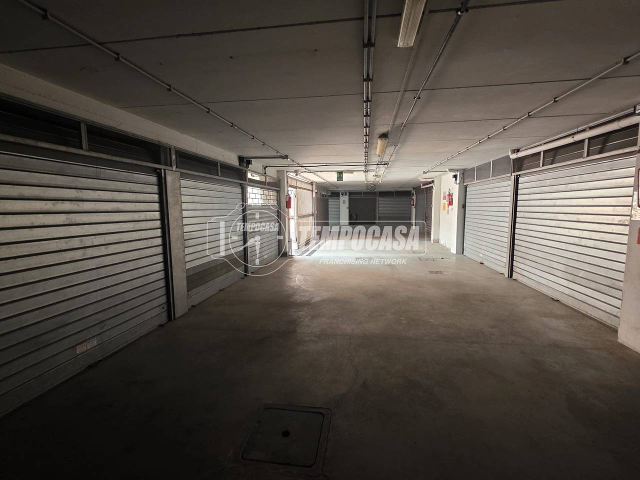 immagine annuncio 3 di 8