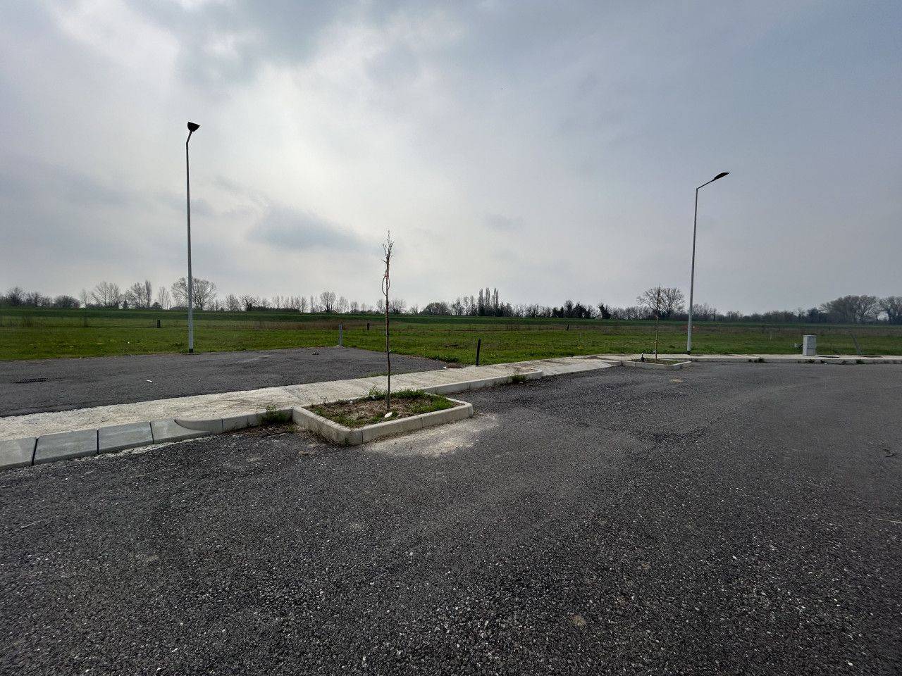 immagine annuncio 12 di 13