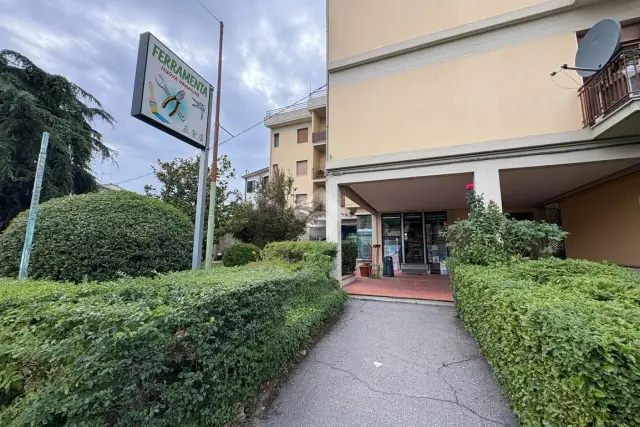 insertion image