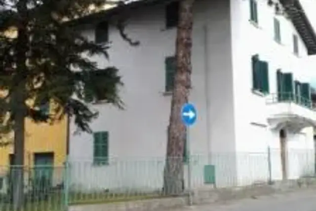 insertion image