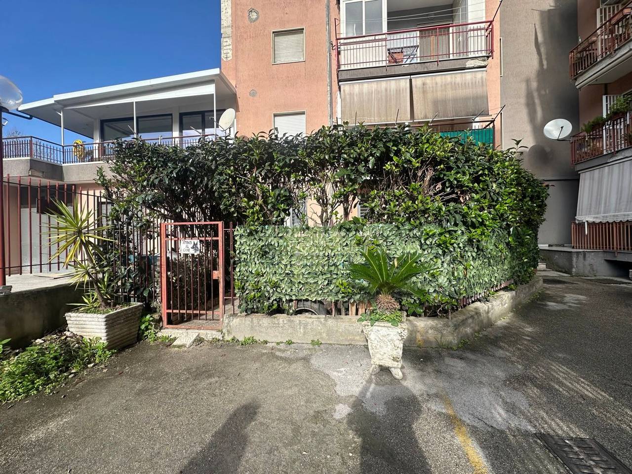 immagine annuncio 13 di 15