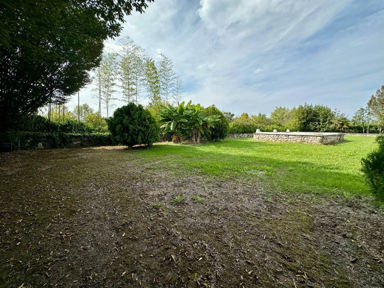 immagine annuncio 11 di 14