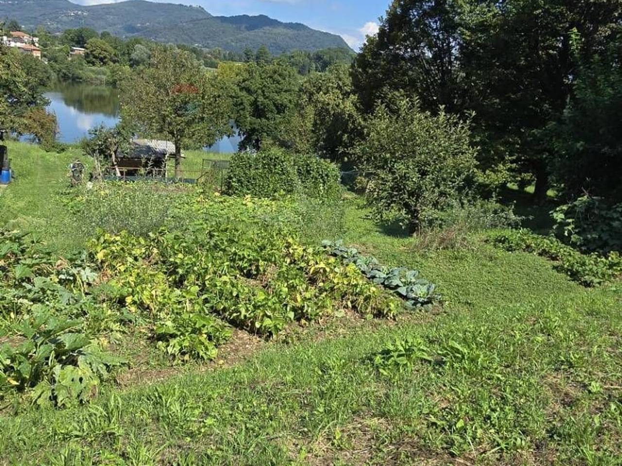 immagine annuncio 1 di 4