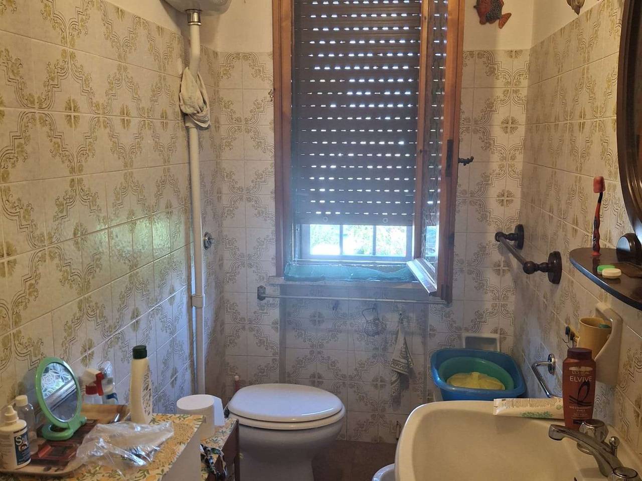 immagine annuncio 9 di 14