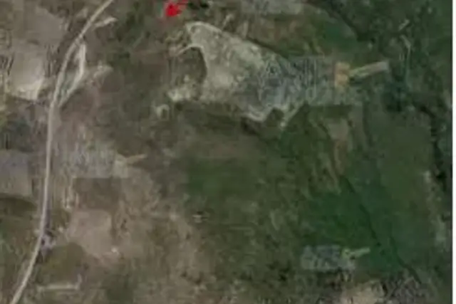 insertion image