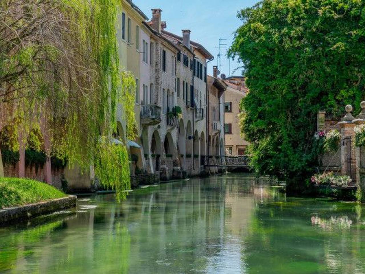 immagine annuncio 12 di 14