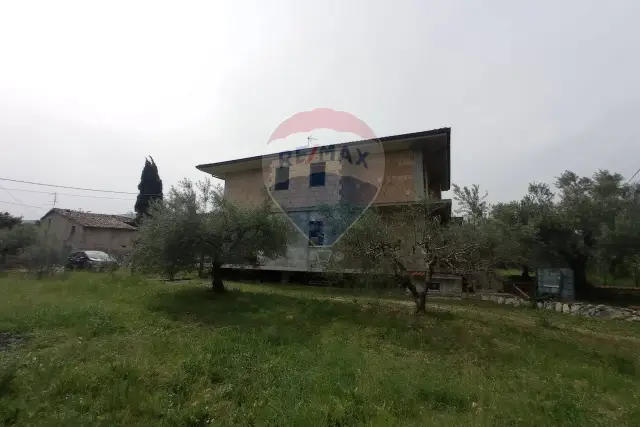 insertion image