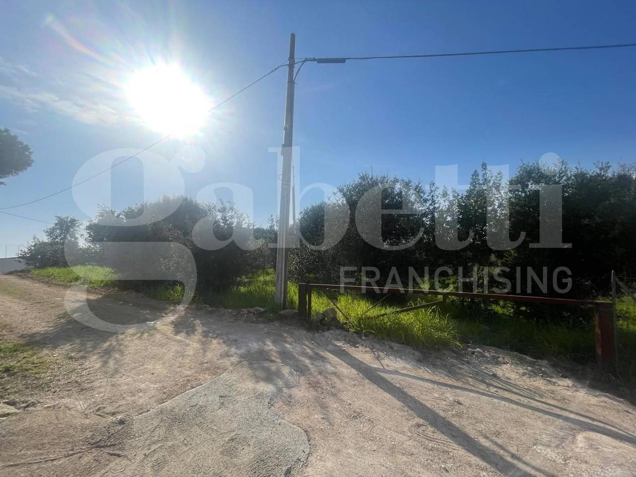 immagine annuncio 4 di 12