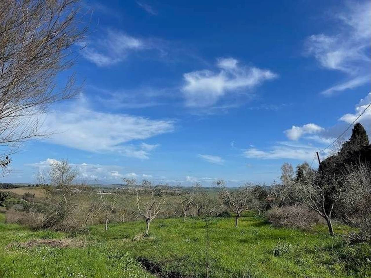 immagine annuncio 3 di 6