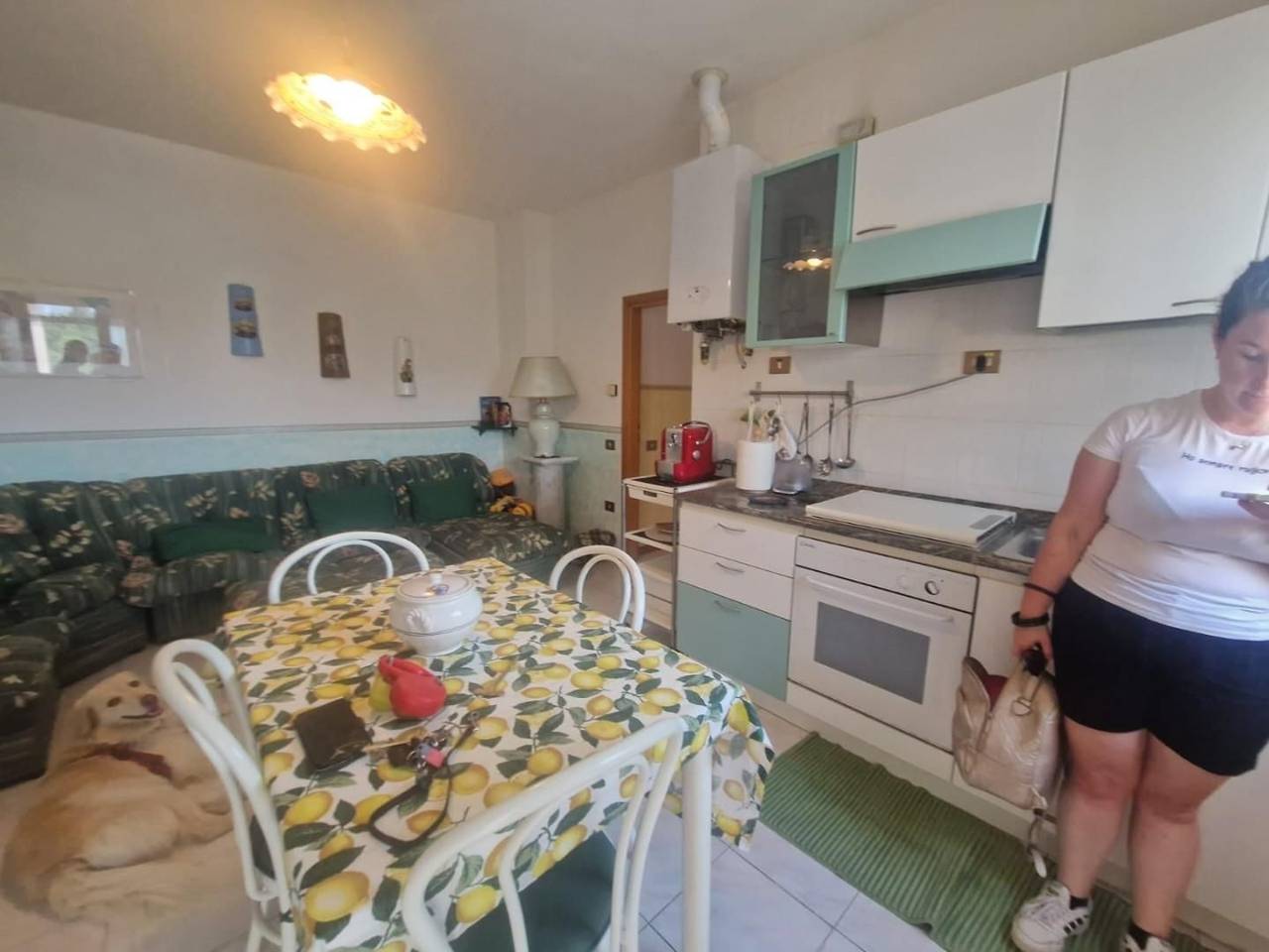 immagine annuncio 5 di 15