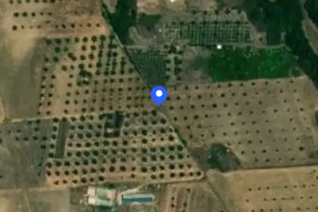 insertion image