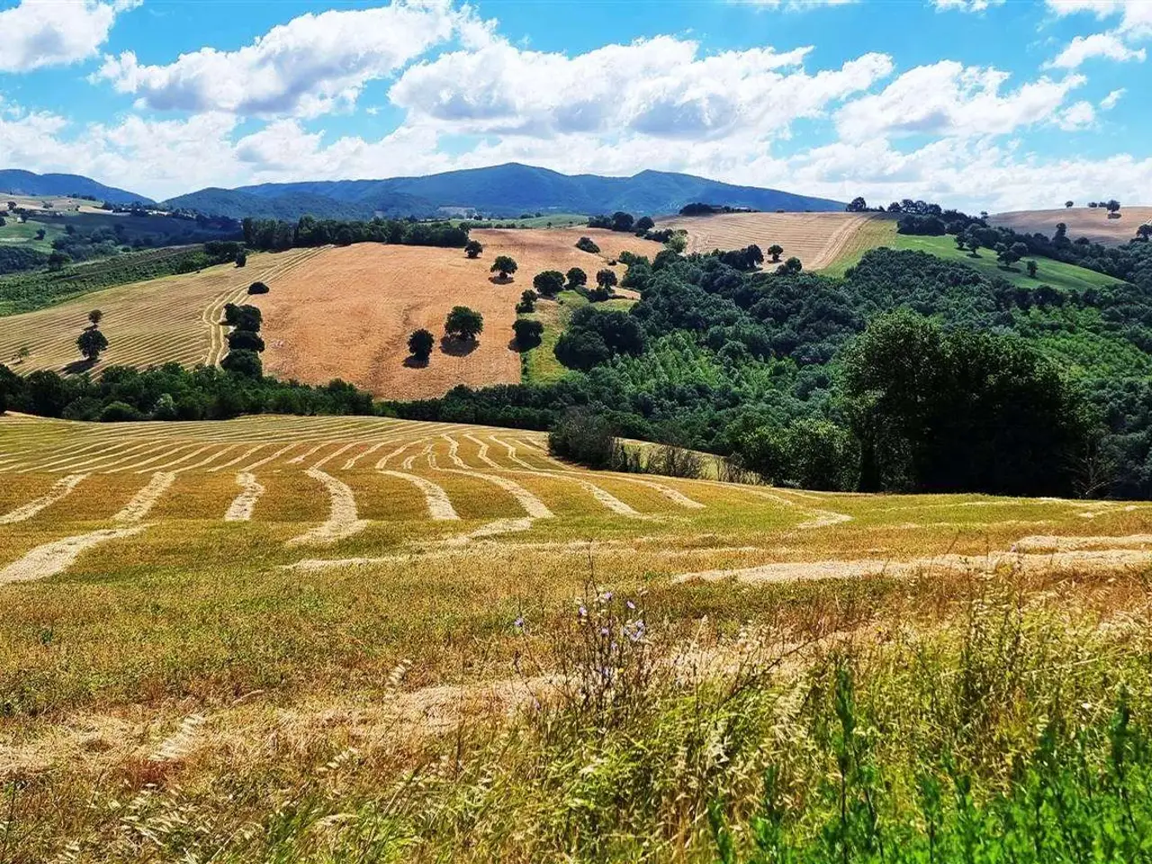 Azienda agricola in , San Severino Marche, {3} - Foto 2