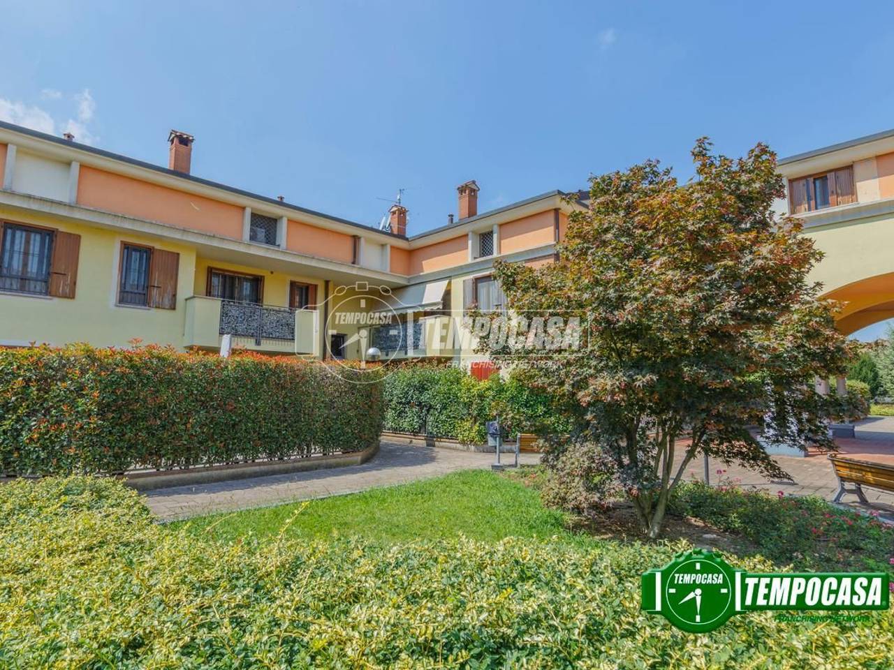 immagine annuncio 1 di 11