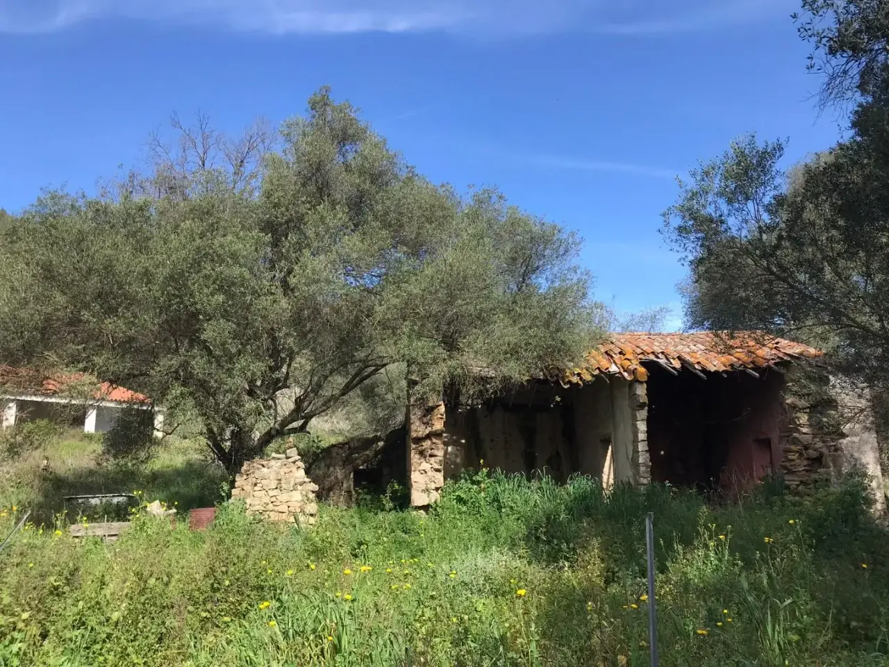 Azienda agricola in , Arzachena, {3} - Foto 1