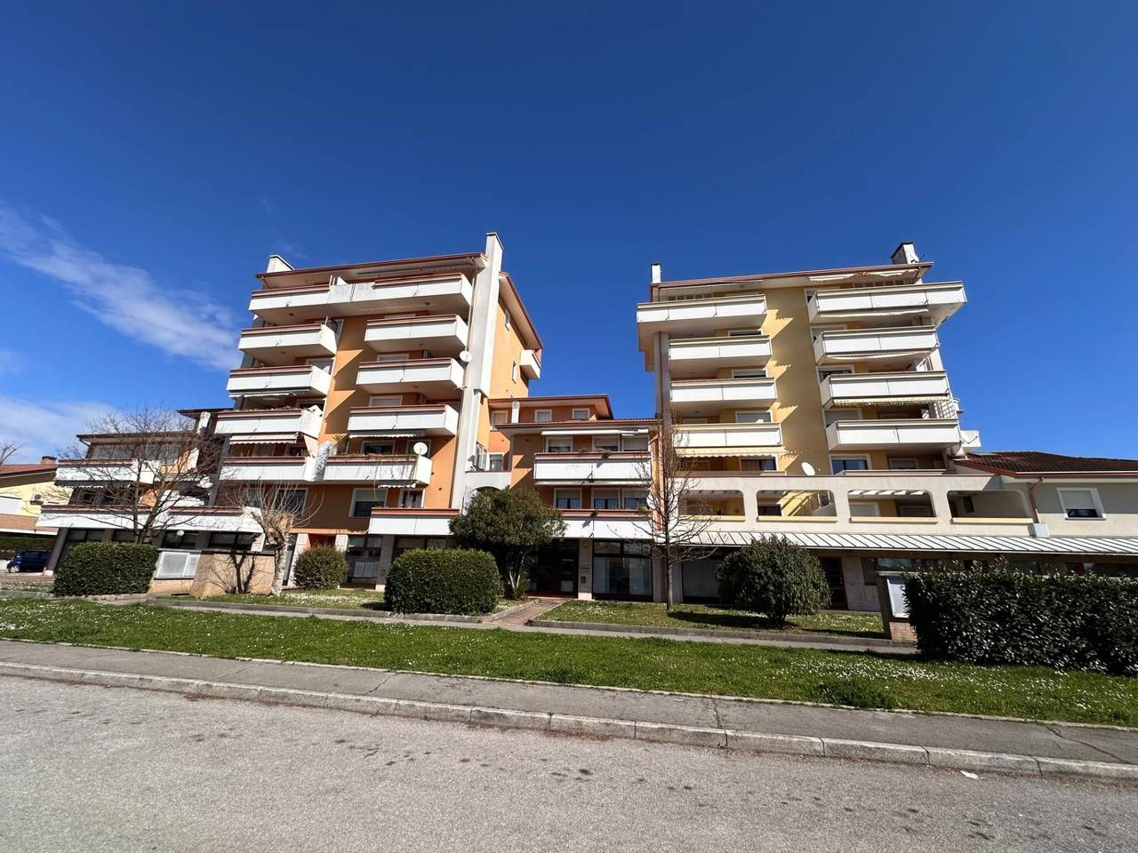 immagine annuncio 1 di 14