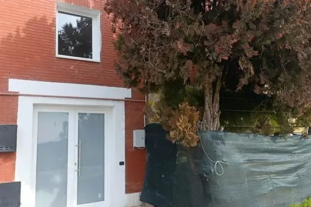insertion image