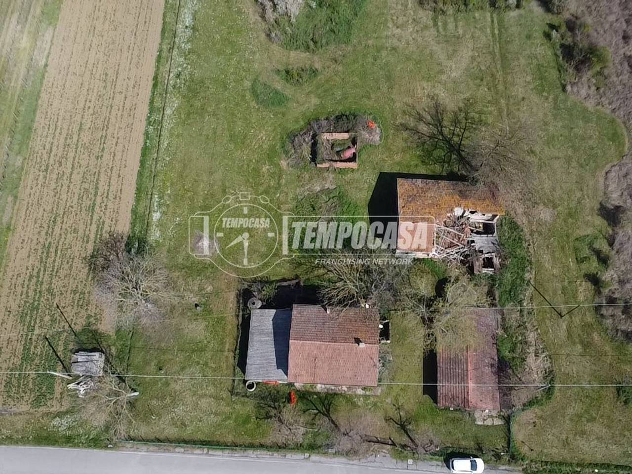 immagine annuncio 3 di 12