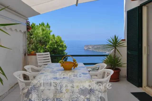 Terraced house in Viale Gregorio Medugno, San Nicola Arcella - Photo 1