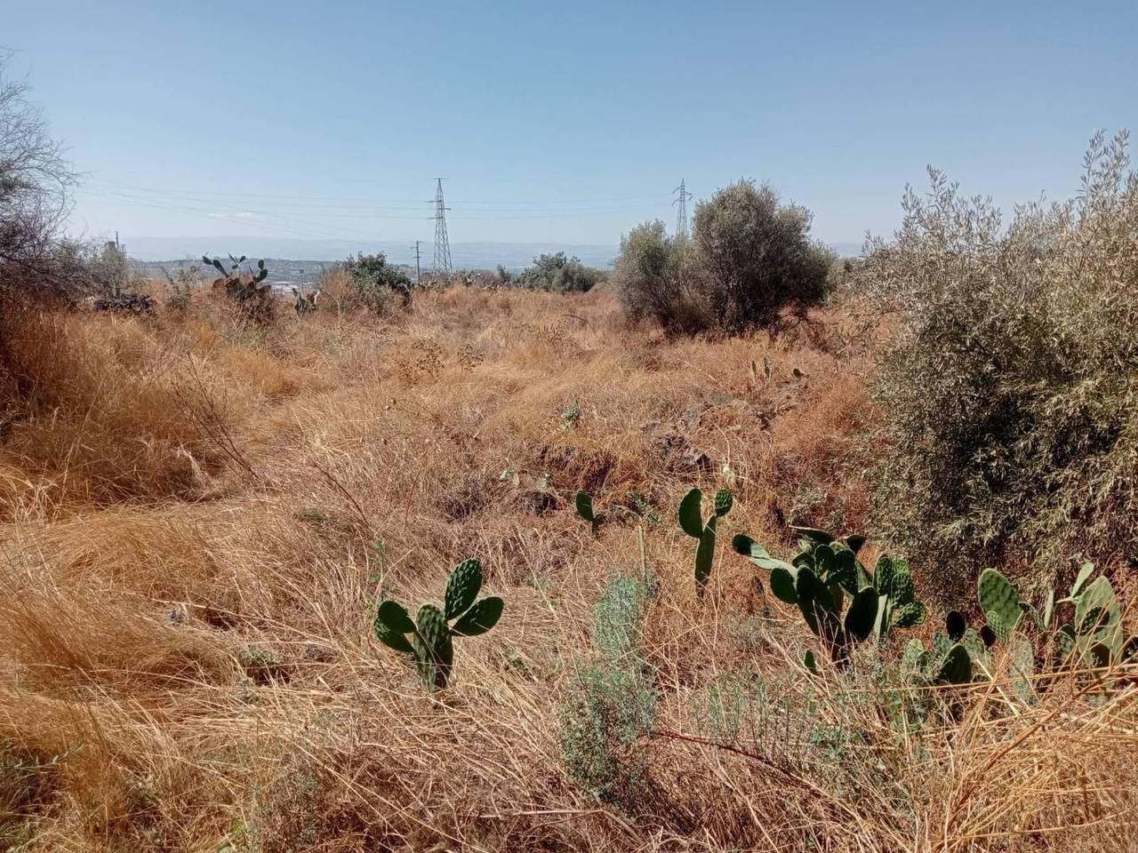 immagine annuncio 3 di 7