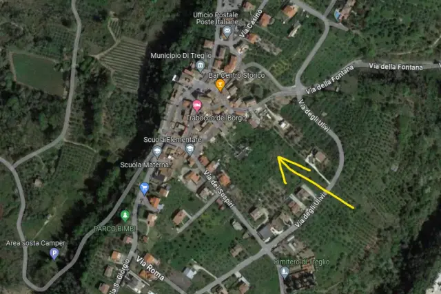 insertion image