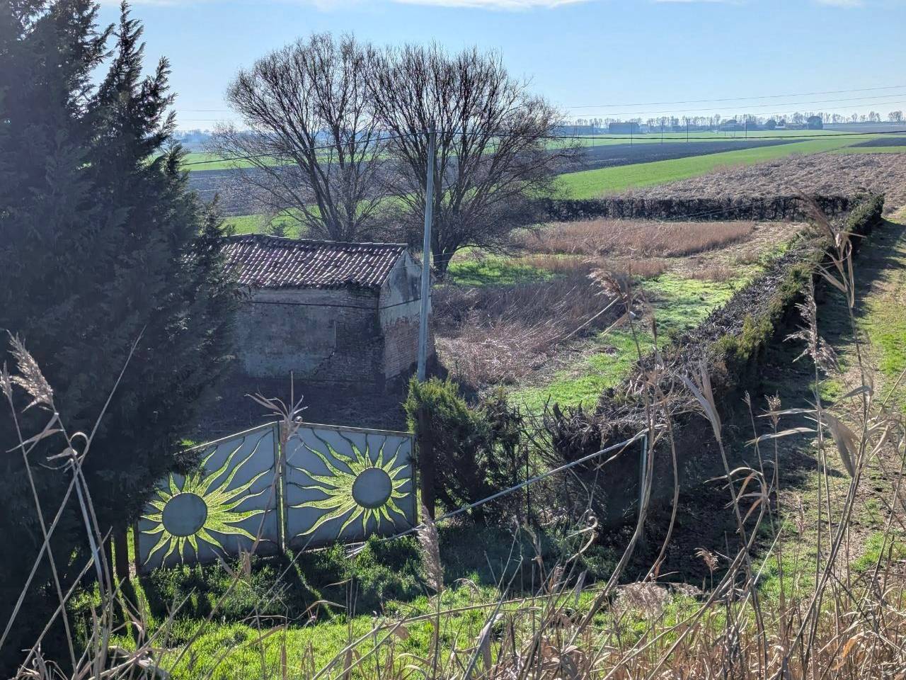 immagine annuncio 3 di 11