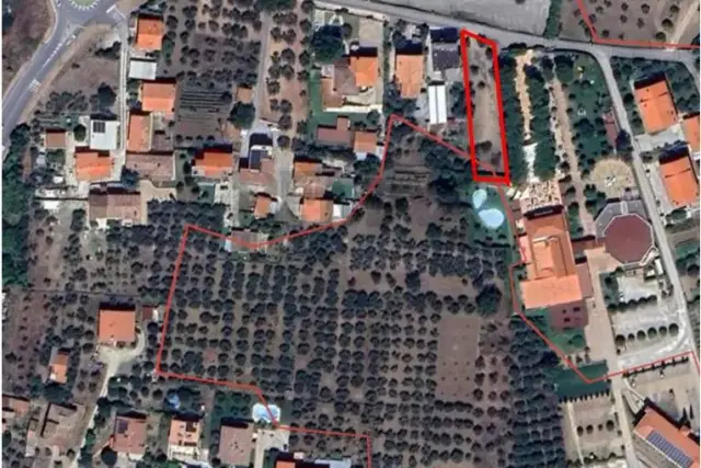 insertion image