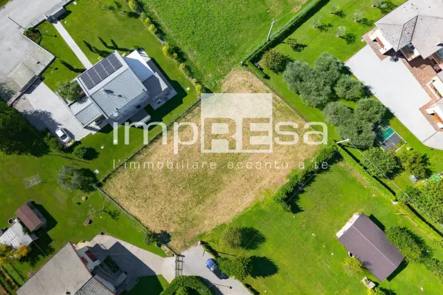 insertion image
