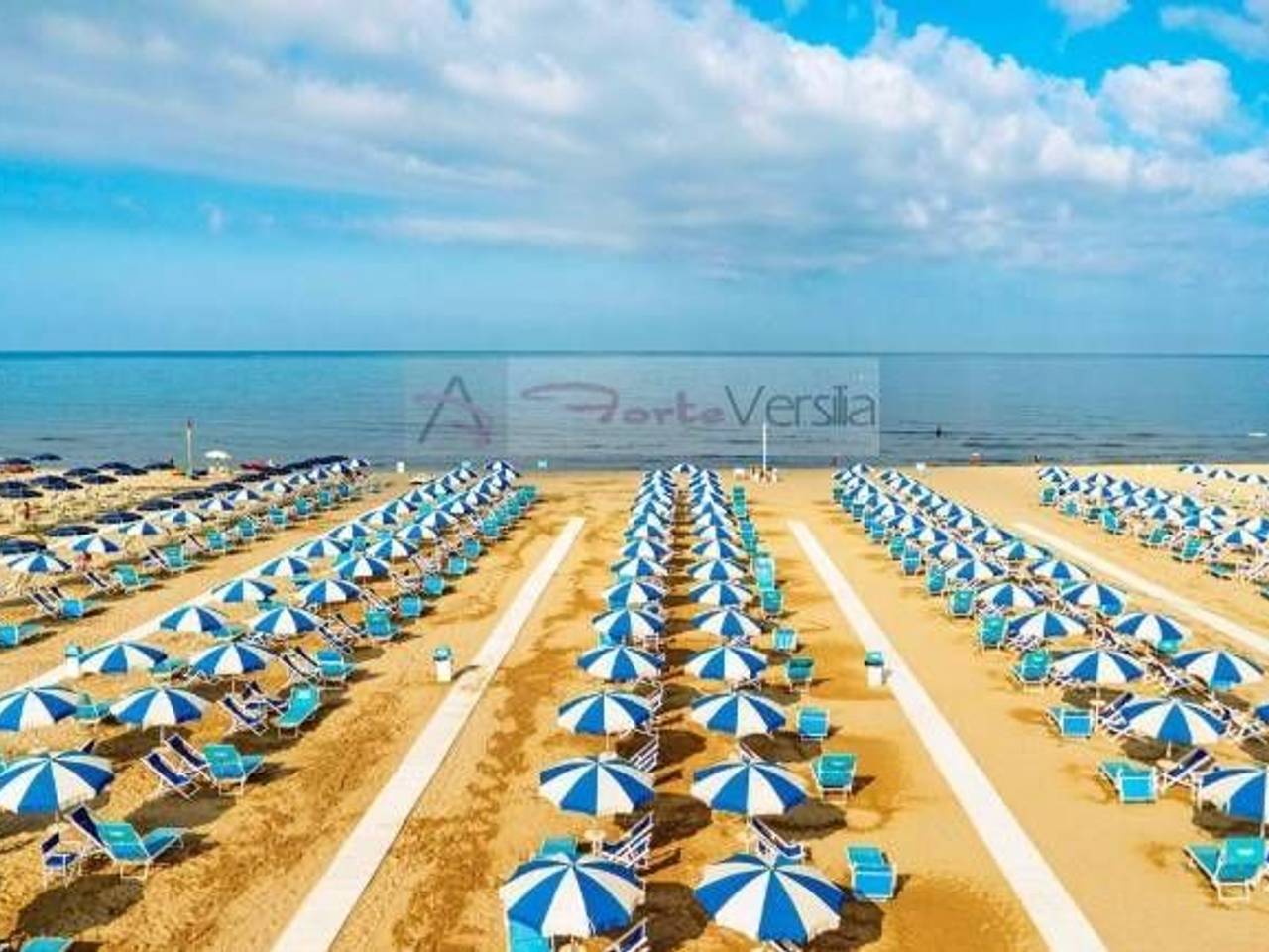 immagine annuncio 6 di 14