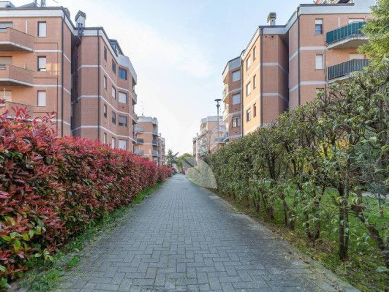 immagine annuncio 9 di 11