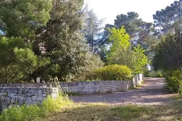 Mansion in {3}, Viale delle Querce - Photo 1