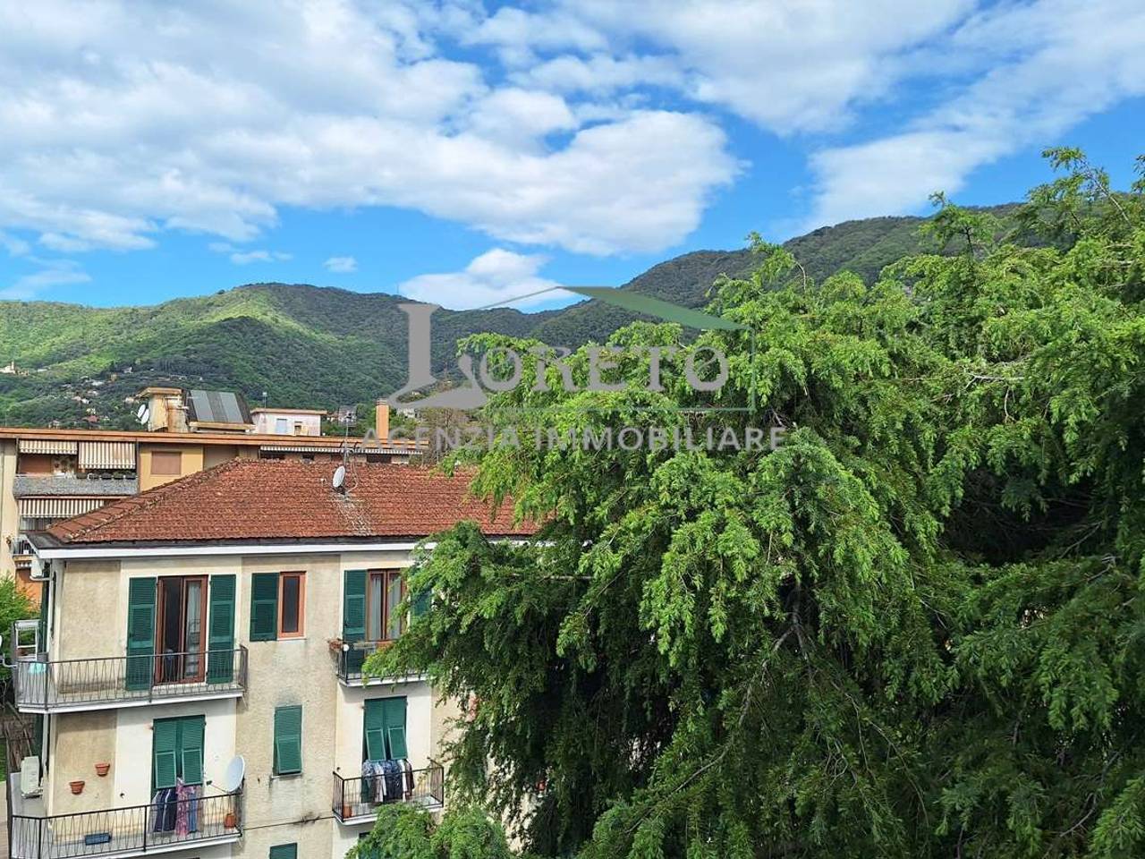 immagine annuncio 1 di 14