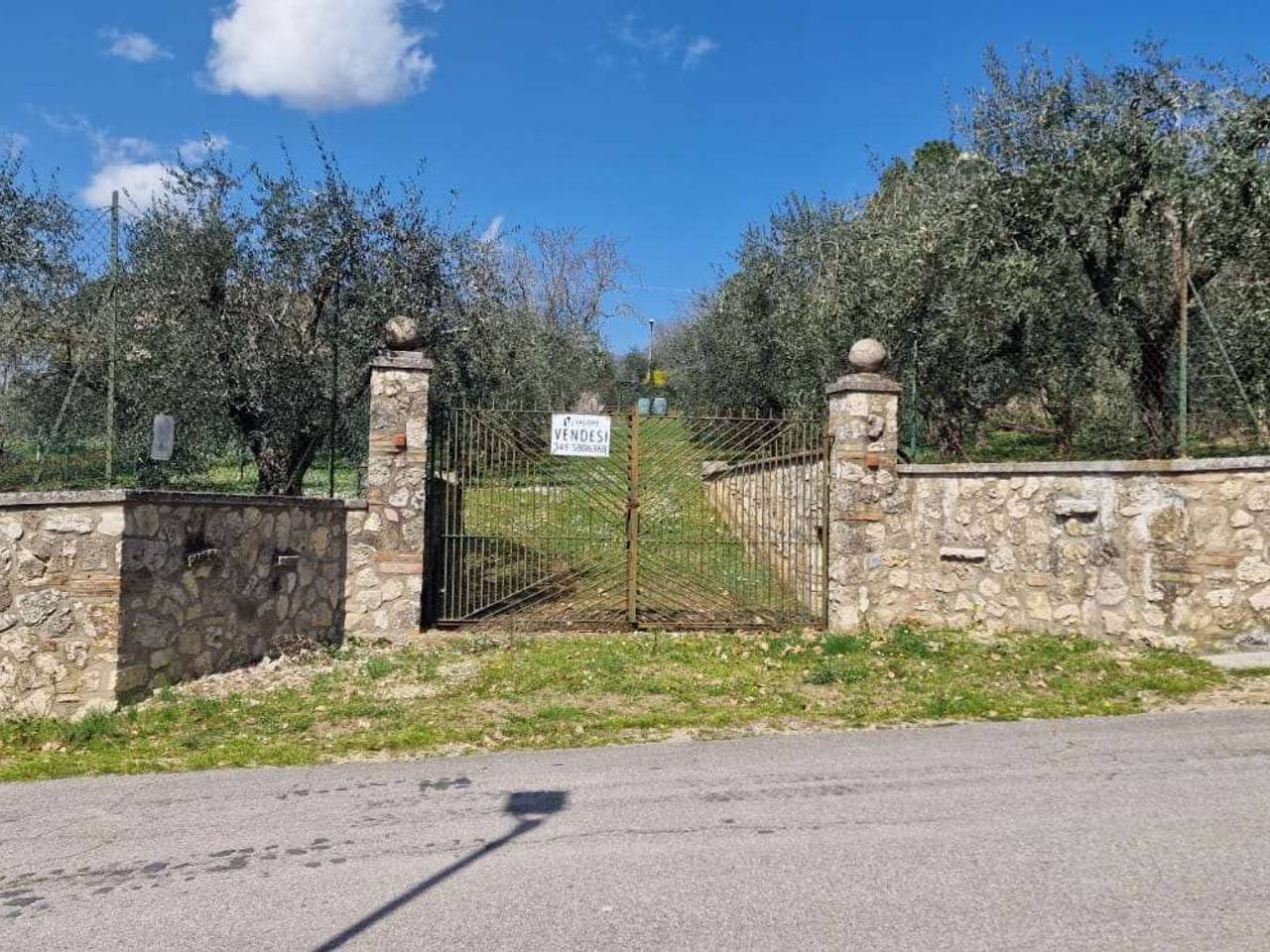 immagine annuncio 11 di 15