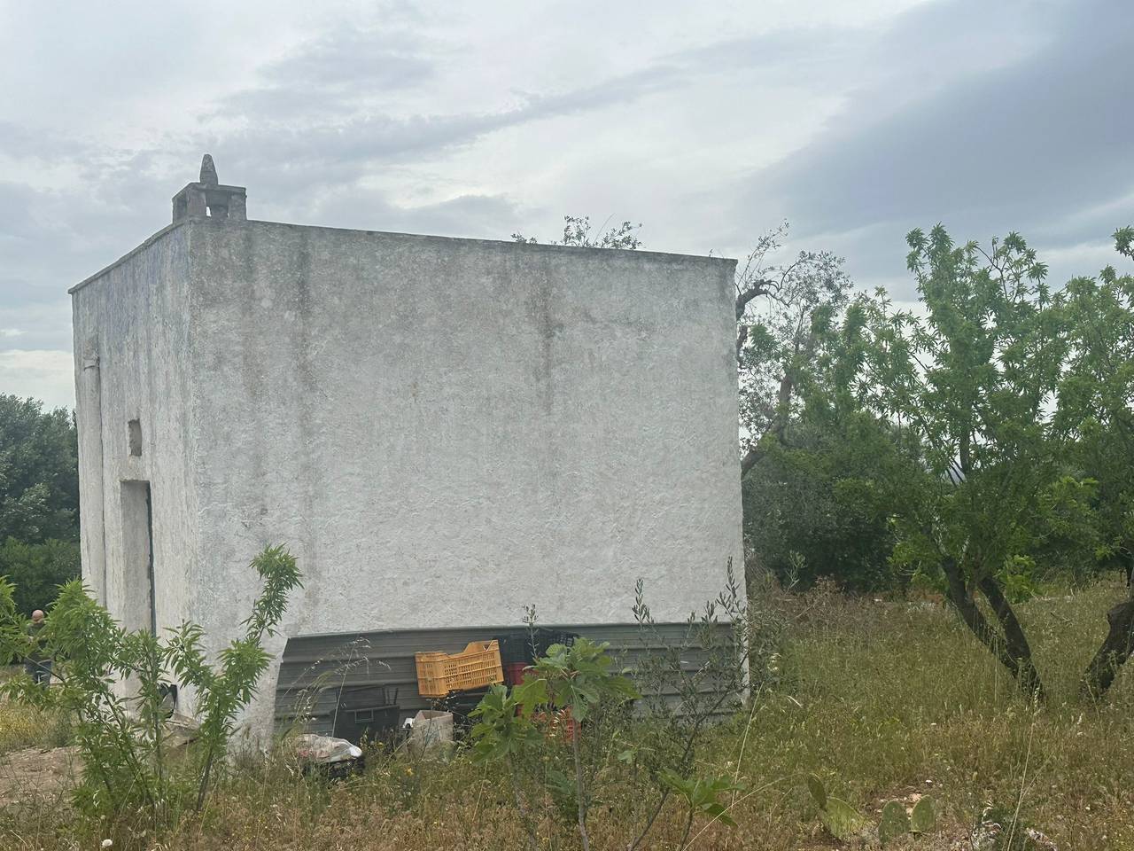 immagine annuncio 7 di 10