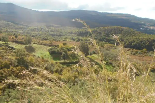 Terreno agricolo in Mercato Cilento S.N.C, Perdifumo - Foto 1