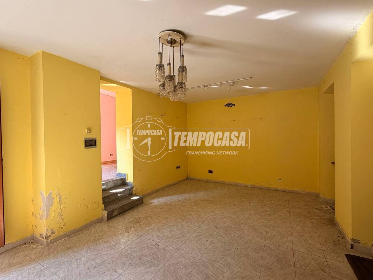 immagine annuncio 10 di 14