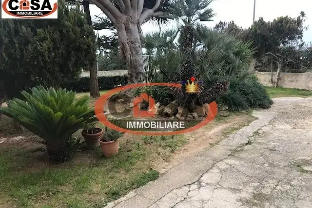 insertion image
