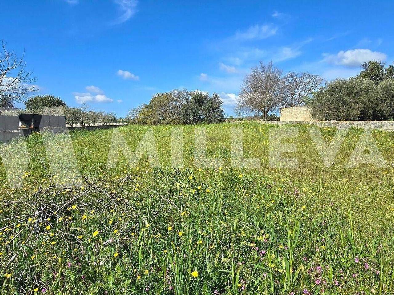 immagine annuncio 12 di 14