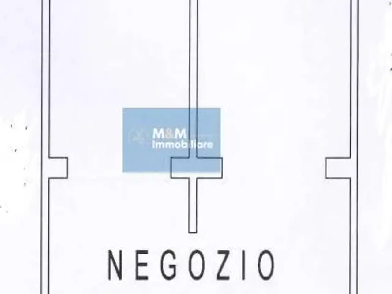 Negozio in Via Monte Nero 10, Nettuno, {3} - Planimetria 1