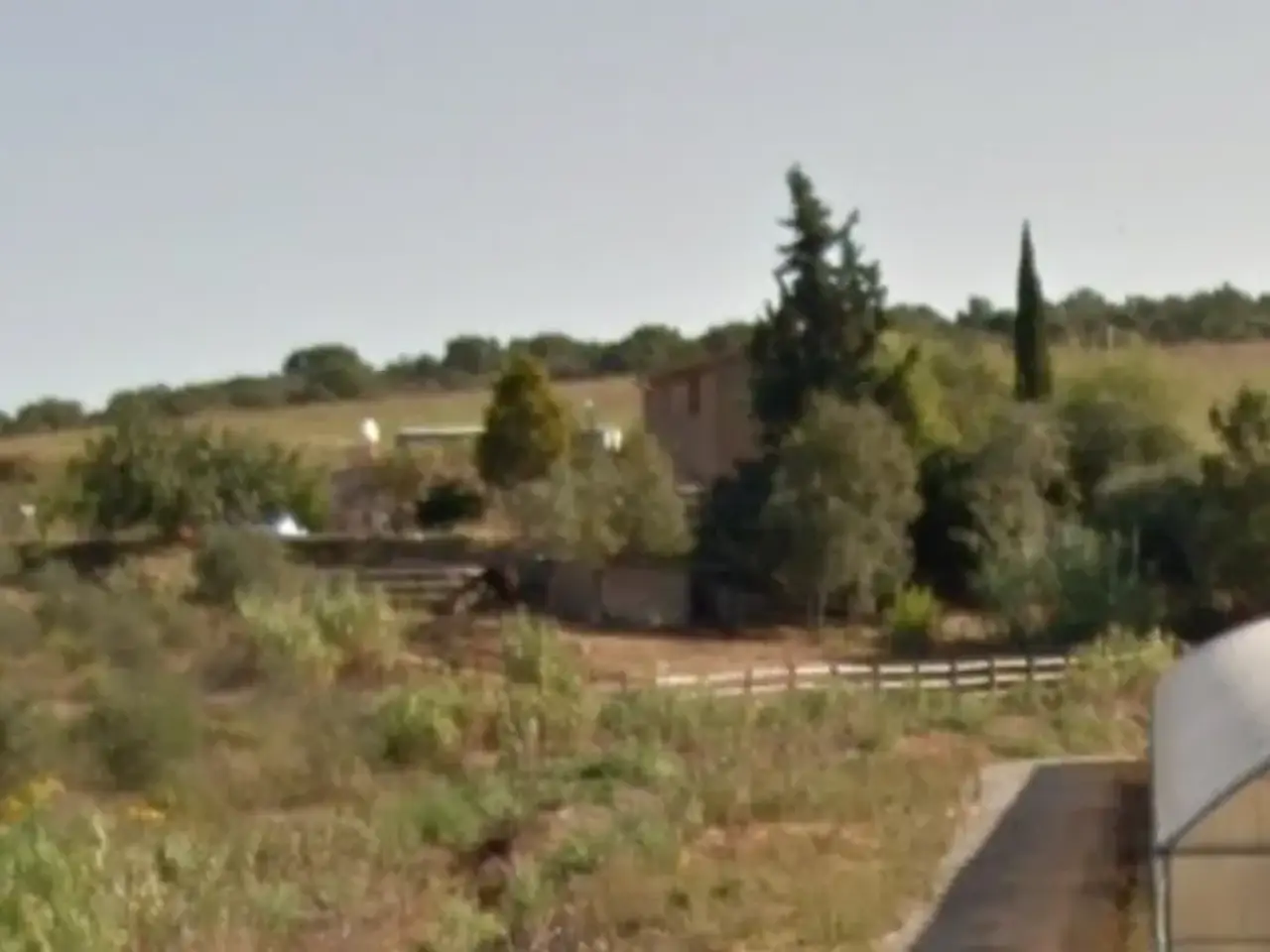 Azienda agricola in , Magliano In Toscana, {3} - Foto 2