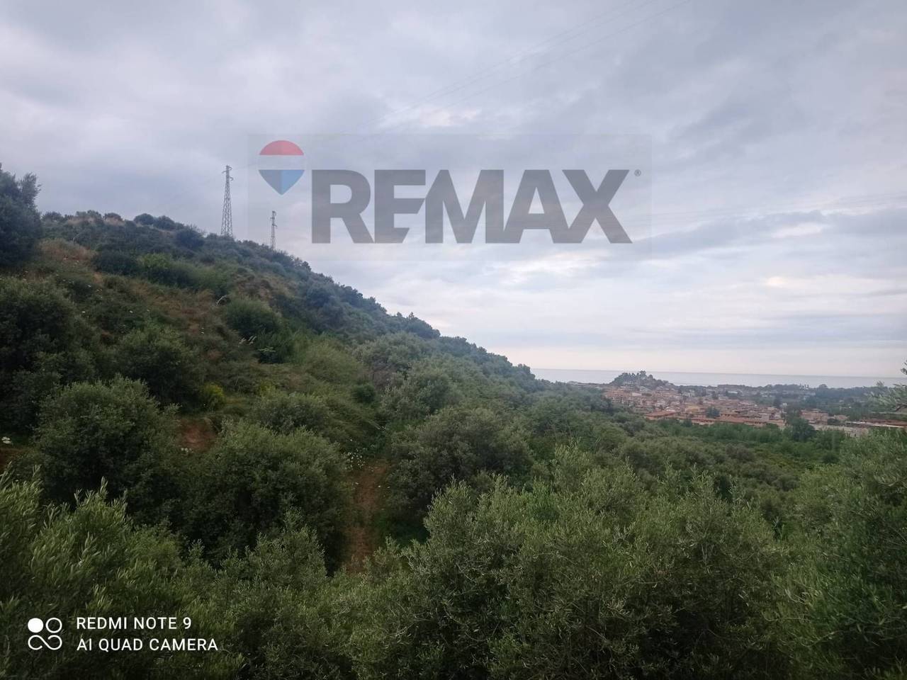 immagine annuncio 4 di 13