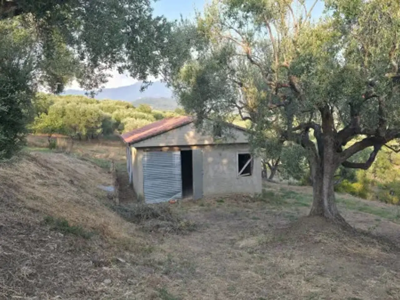 Magazzino in , Ceraso, {3} - Foto 1