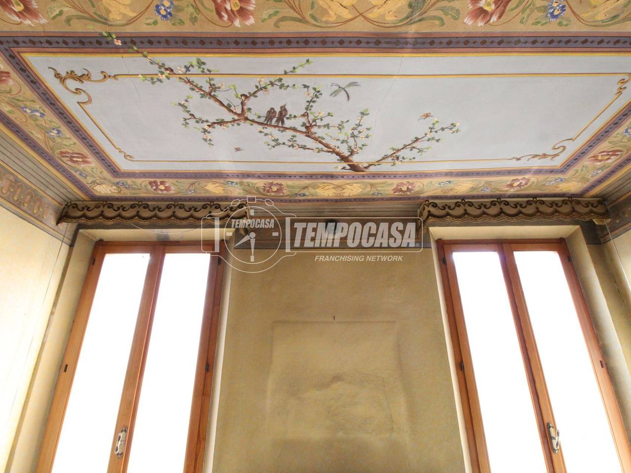 immagine annuncio 3 di 14