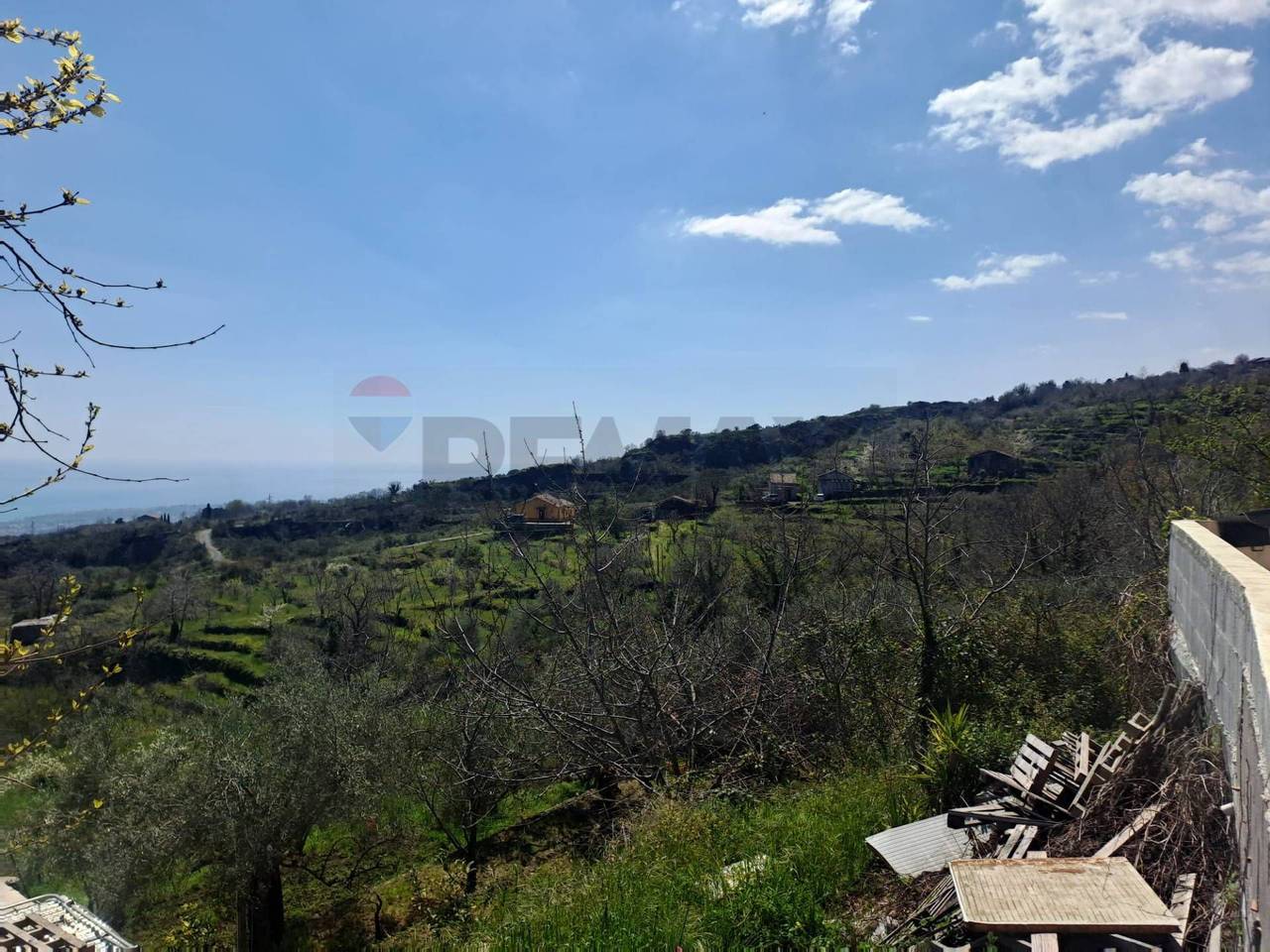 immagine annuncio 1 di 8