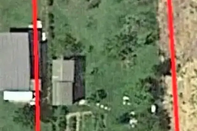 insertion image