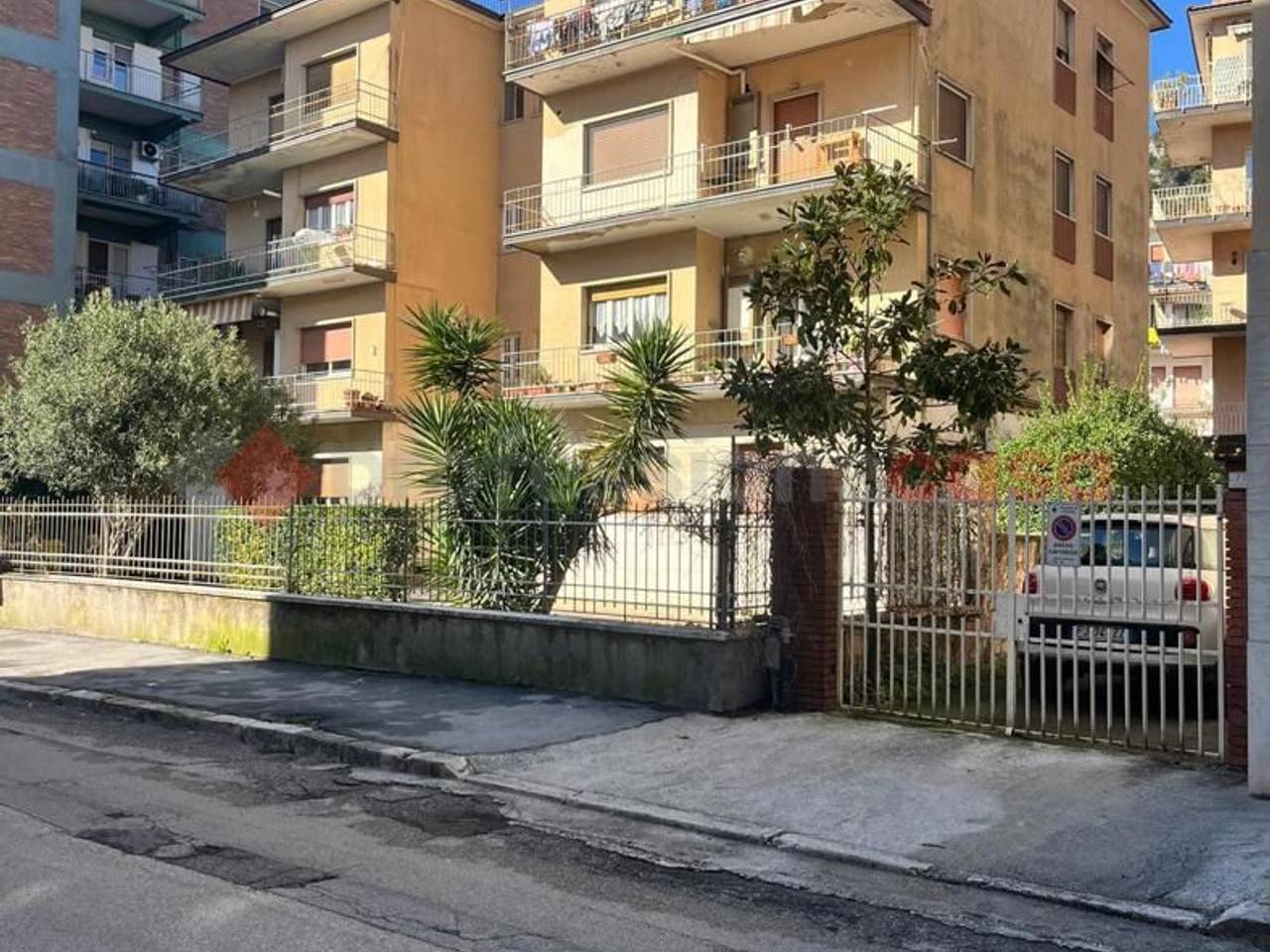 immagine annuncio 2 di 4